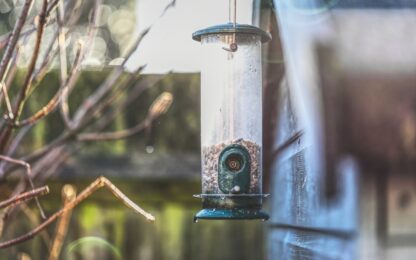 Beste Vogelhuisje Camera van 2026