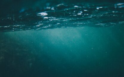 Beste Onderwatercamera van 2026