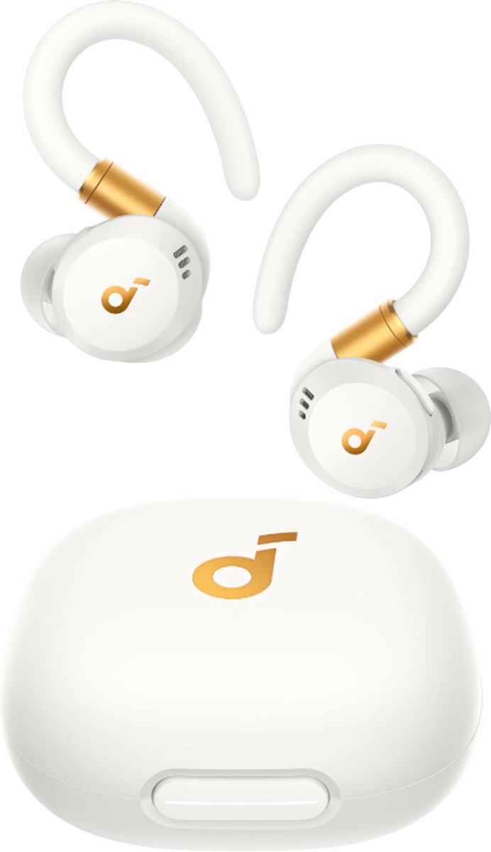 Anker soundcore Sport X20 ANC hardloop-oordopjes met oorhaken