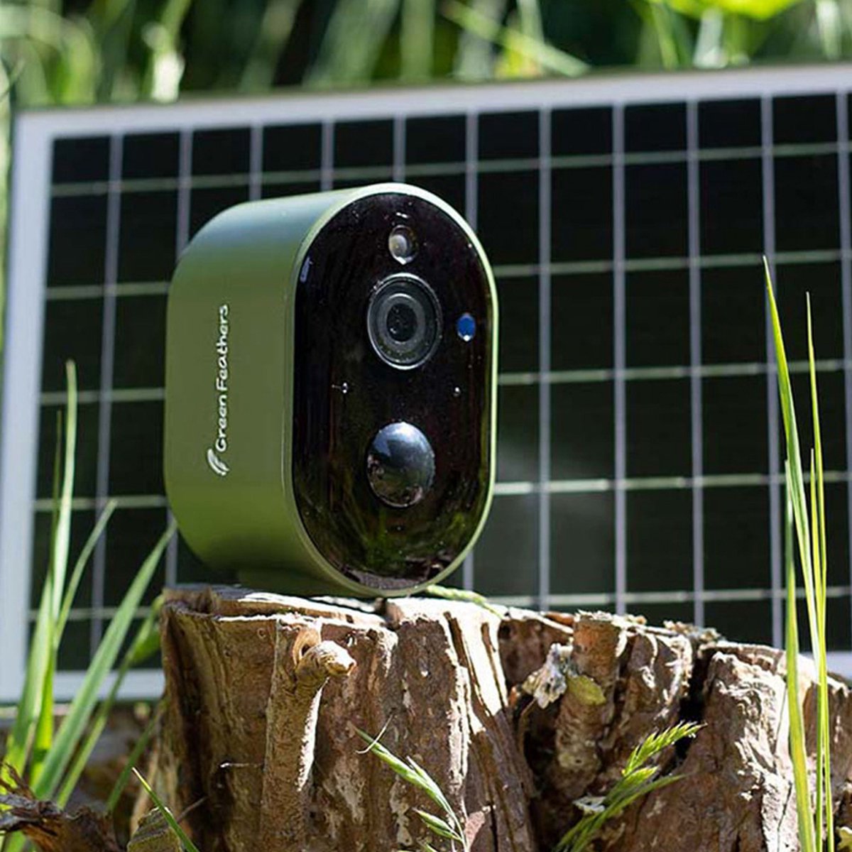Green feathers wifi nestkastcamera op zonne-energie